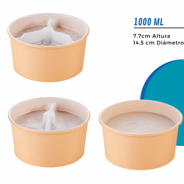 Bowl Ensaladera Polipapel Con Separador de Alimentos | Tapa PET | 500 - 1000ml - Imagen 4